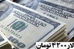 بررسی حذف ارز ترجیحی در کمیته مشترک دولت و مجلس
